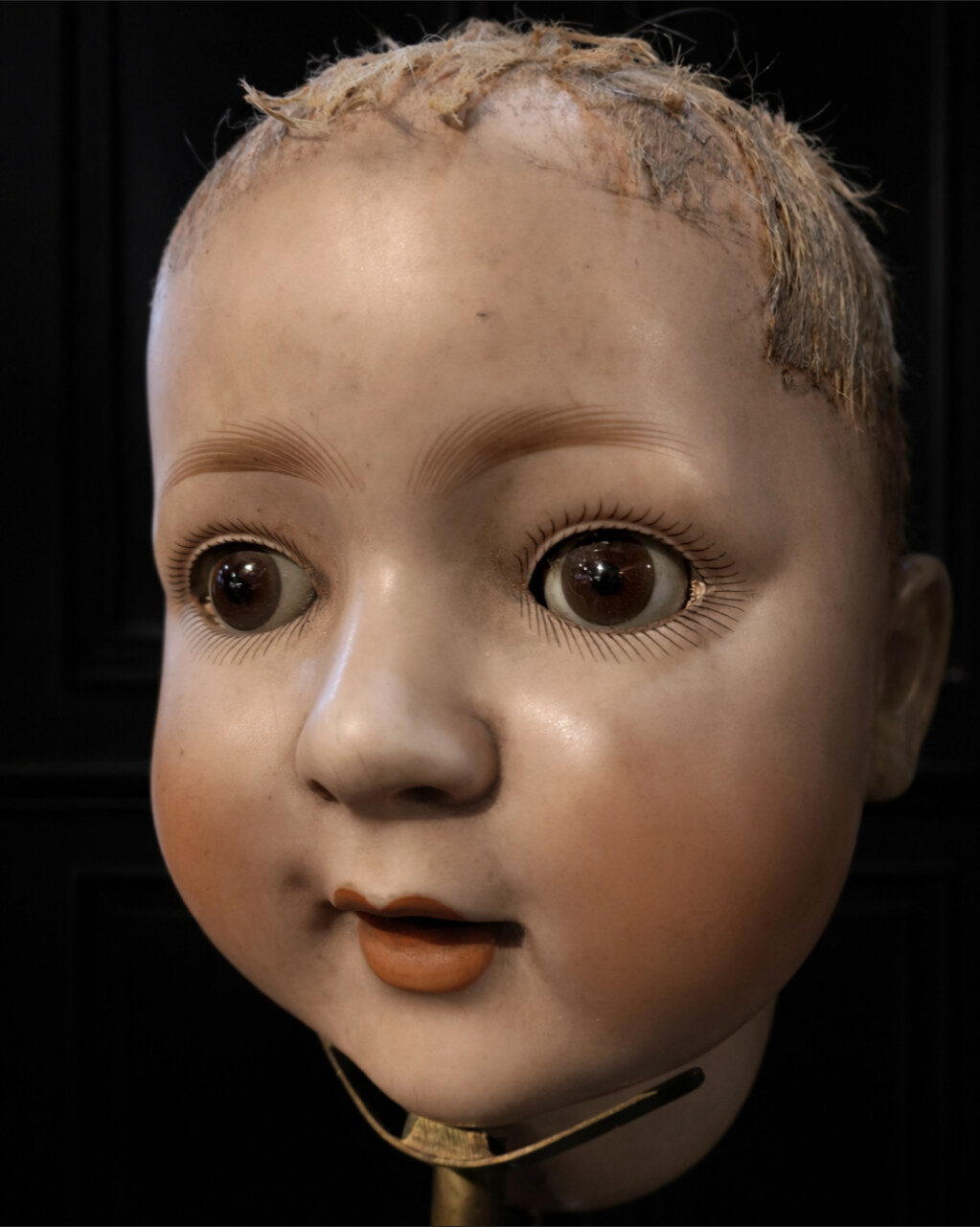 dolls head dolls head
